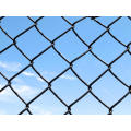 hexagon wire netting,chicken mesh,electro galvanized after weaving hexagonal wire netting